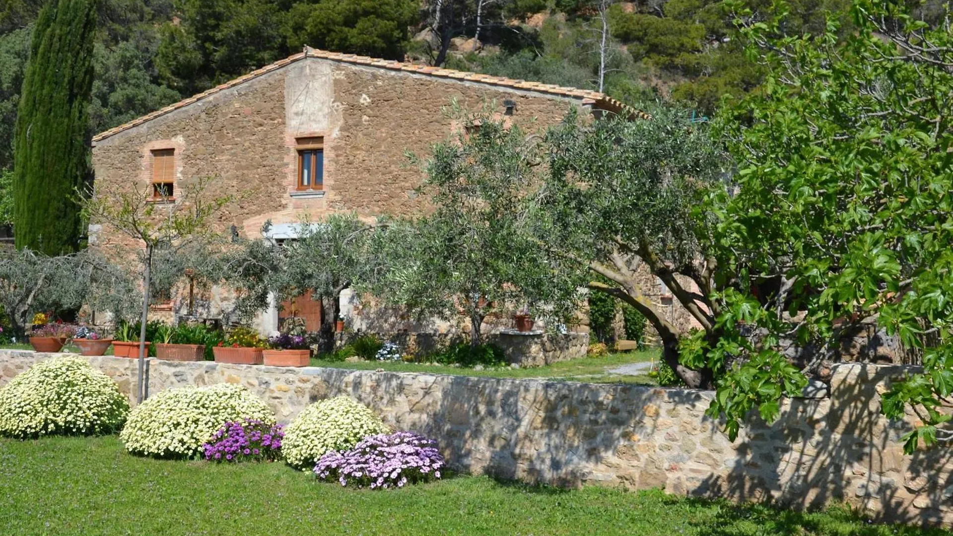 Apartamento Tranquilo En Masia Cerca De La Playa En L'Estartit - Es-323-53 0*,